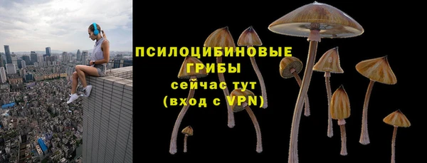 MESCALINE Алзамай
